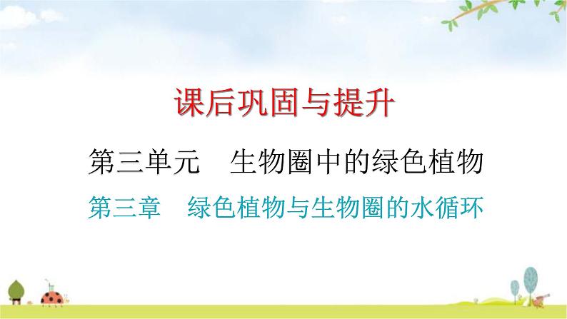 中考生物复习第三单元第三章绿色植物与生物圈的水循环课件第1页