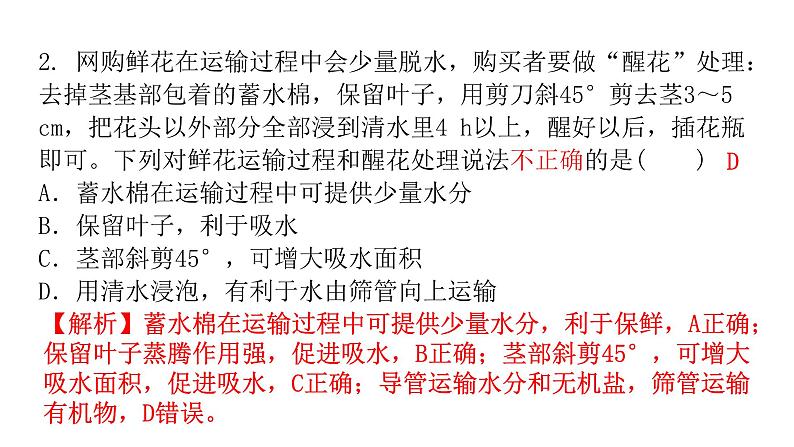 中考生物复习第三单元第三章绿色植物与生物圈的水循环课件第3页