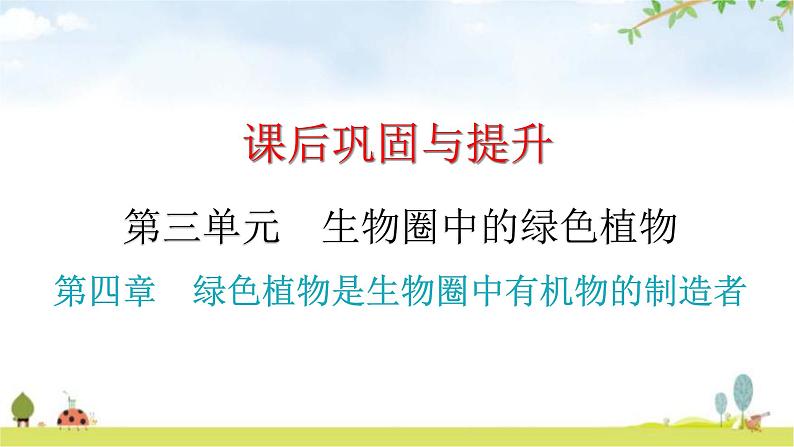 中考生物复习第三单元第四章绿色植物是生物圈中有机物的制造者课件01