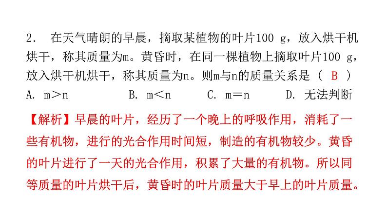 中考生物复习第三单元第四章绿色植物是生物圈中有机物的制造者课件03