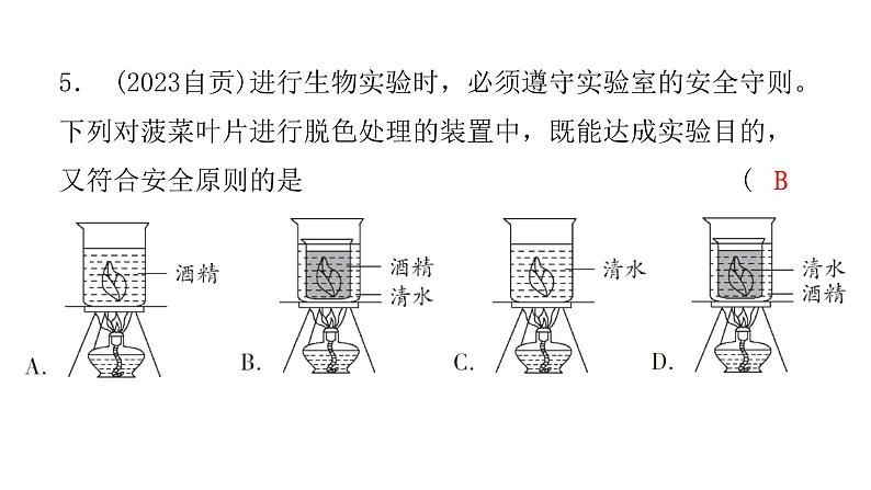 中考生物复习第三单元第四章绿色植物是生物圈中有机物的制造者课件07