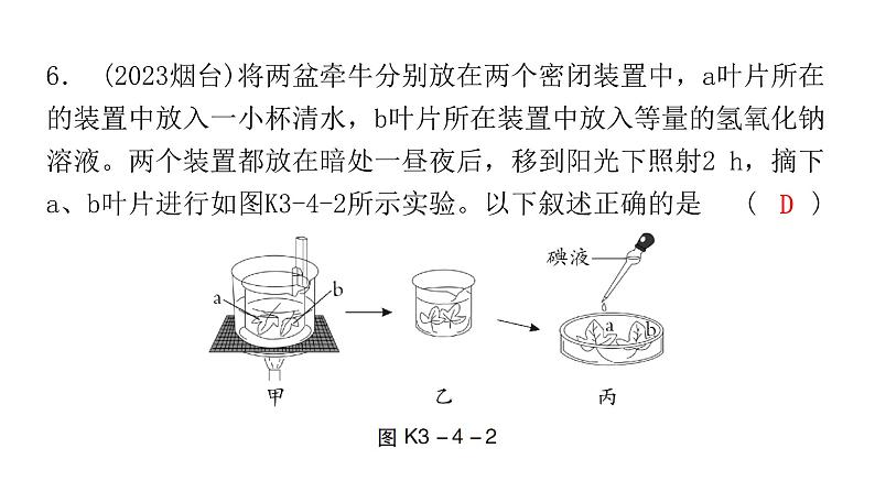 中考生物复习第三单元第四章绿色植物是生物圈中有机物的制造者课件08