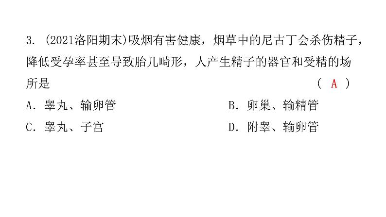 中考生物复习第四单元第一章人的由来课件第4页