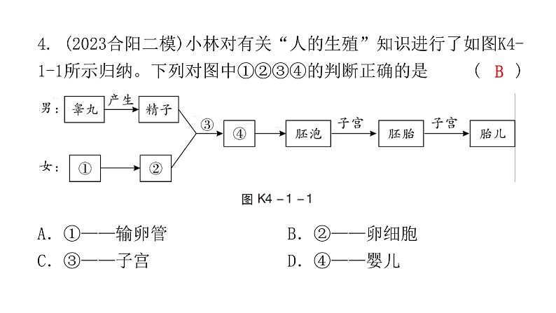 中考生物复习第四单元第一章人的由来课件第5页