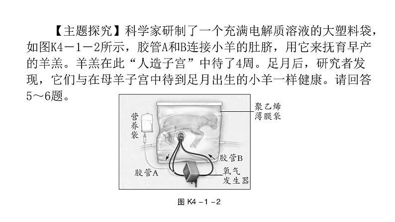 中考生物复习第四单元第一章人的由来课件第6页