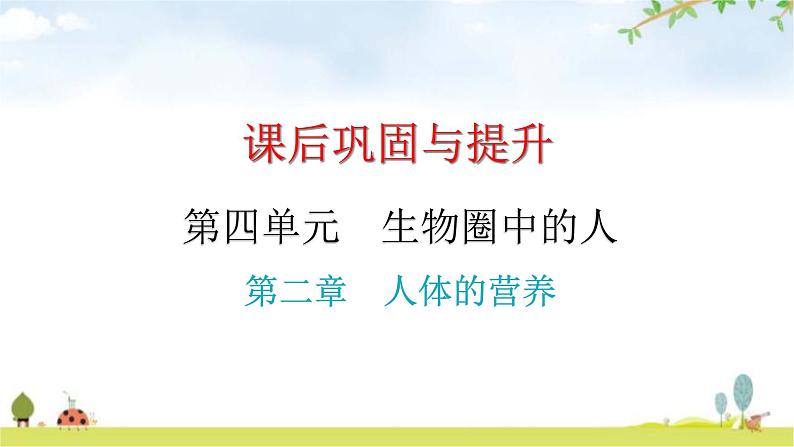 中考生物复习第四单元第二章人体的营养课件第1页