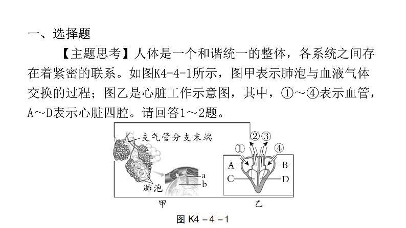 中考生物复习第四单元第四章人体内物质的运输课件02