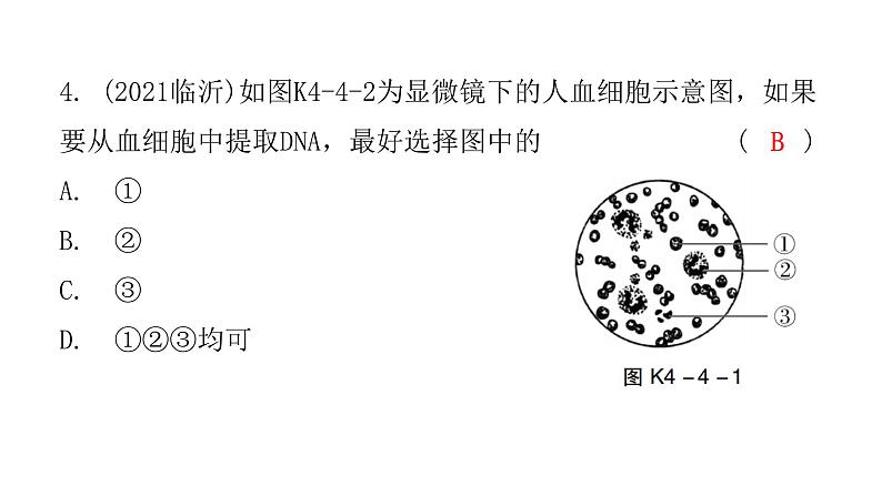 中考生物复习第四单元第四章人体内物质的运输课件05