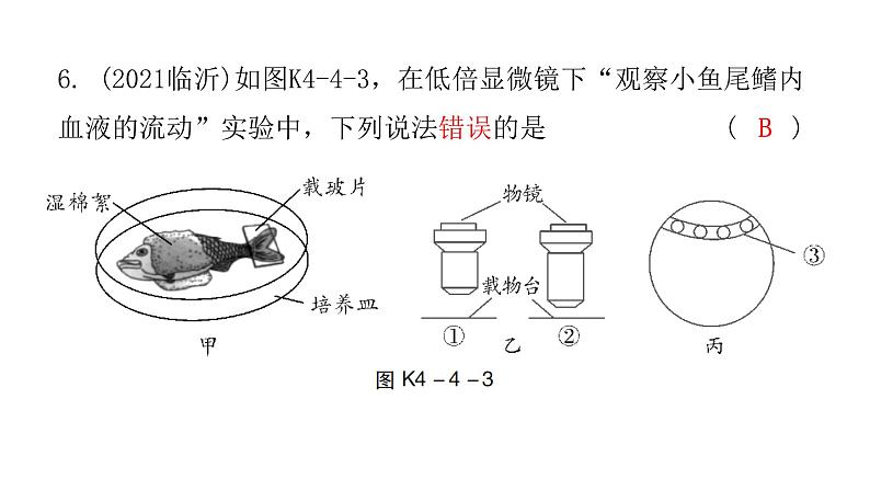 中考生物复习第四单元第四章人体内物质的运输课件07