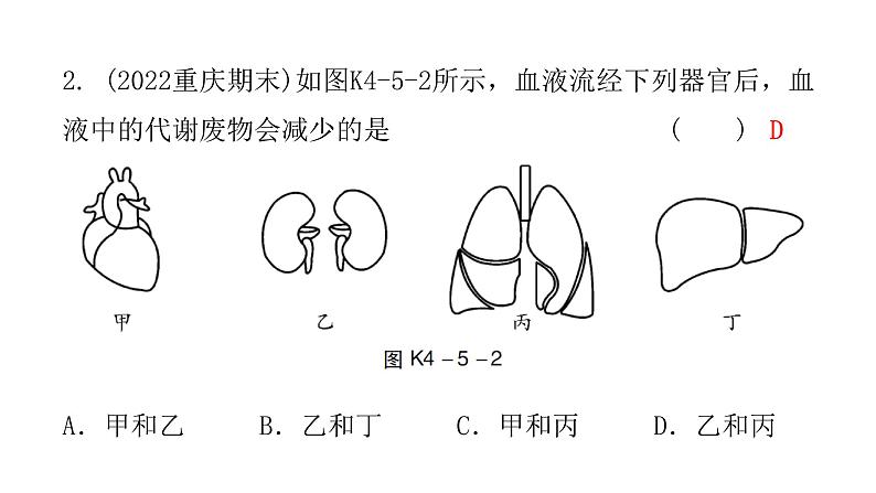 中考生物复习第四单元第五章人体内废物的排出课件04