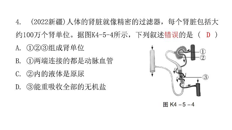 中考生物复习第四单元第五章人体内废物的排出课件07