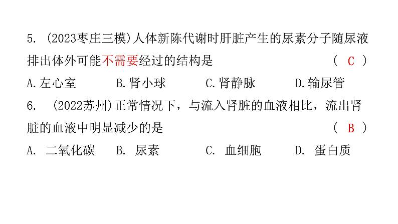 中考生物复习第四单元第五章人体内废物的排出课件08