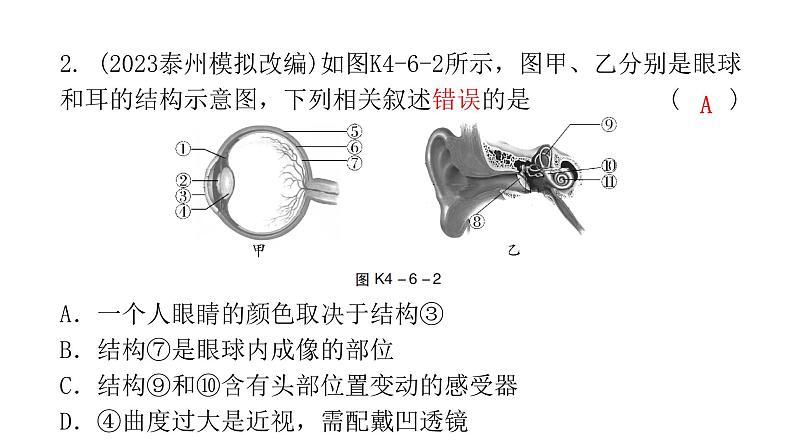 中考生物复习第四单元第六章人体生命活动的调节第七章人类活动对生物圈的影响课件04