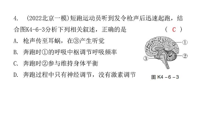 中考生物复习第四单元第六章人体生命活动的调节第七章人类活动对生物圈的影响课件06