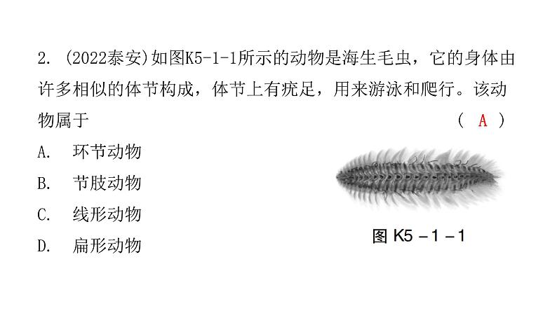 中考生物复习第五单元第一章动物的主要类群课件03