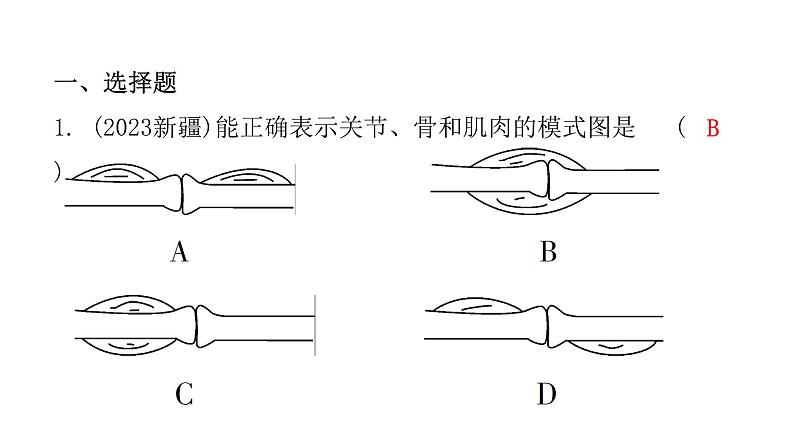 中考生物复习第五单元第二章动物的运动和行为第三章动物在生物圈中的作用课件02