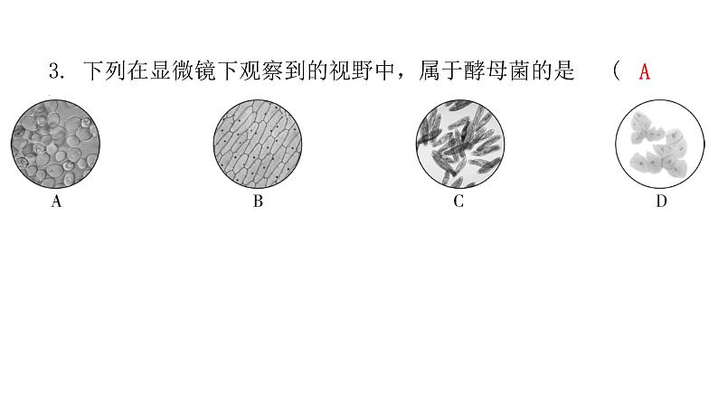 中考生物复习第五单元第四章细菌和真菌第五章病毒课件05