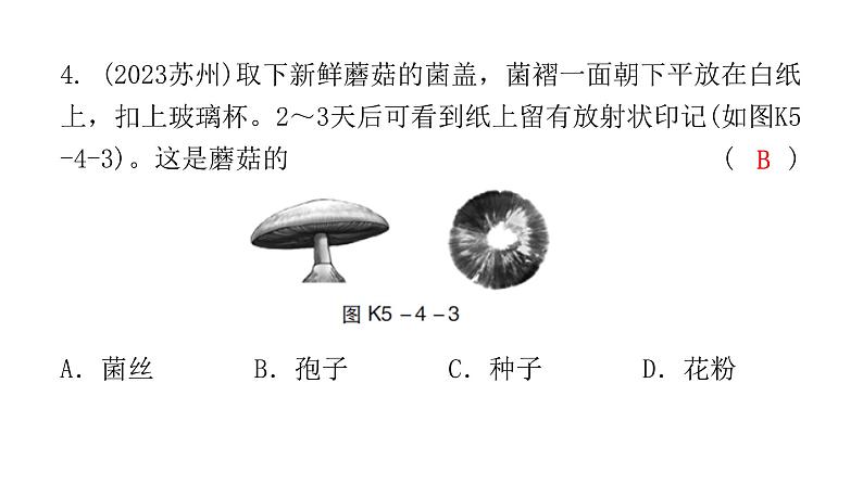 中考生物复习第五单元第四章细菌和真菌第五章病毒课件06