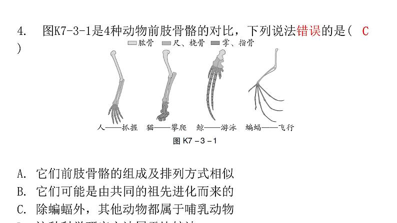 中考生物复习第七单元第三章生命起源和生物进化课件第5页