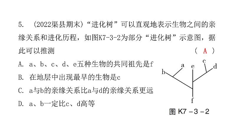 中考生物复习第七单元第三章生命起源和生物进化课件第6页