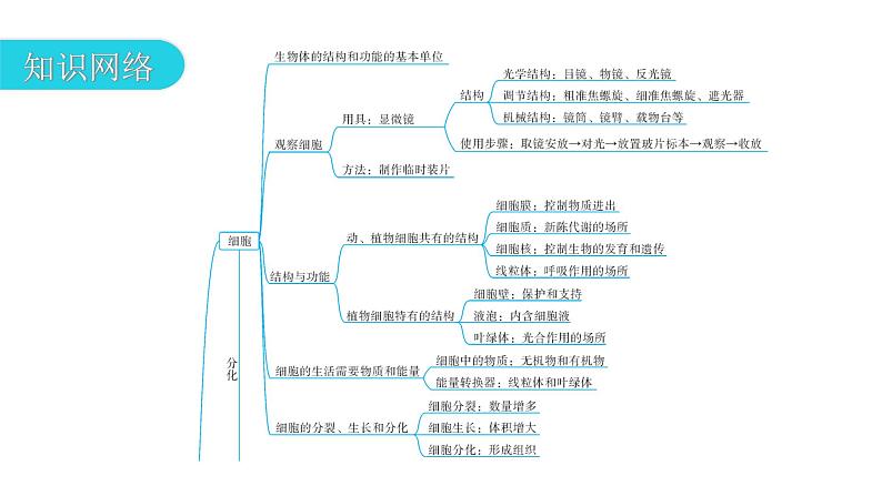 中考生物复习专题二生物体的结构层次教学课件第3页