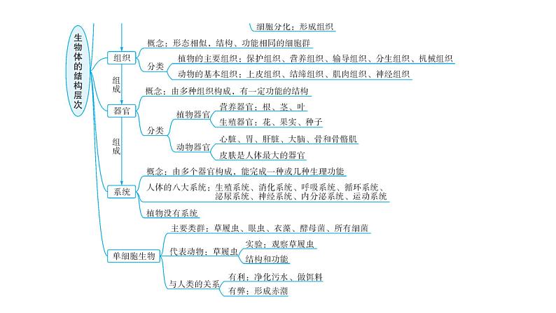 中考生物复习专题二生物体的结构层次教学课件第4页