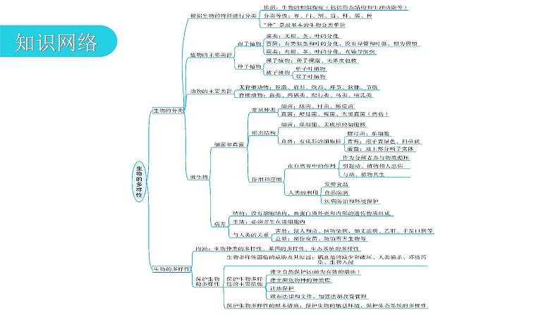 中考生物复习专题三生物的多样性教学课件03