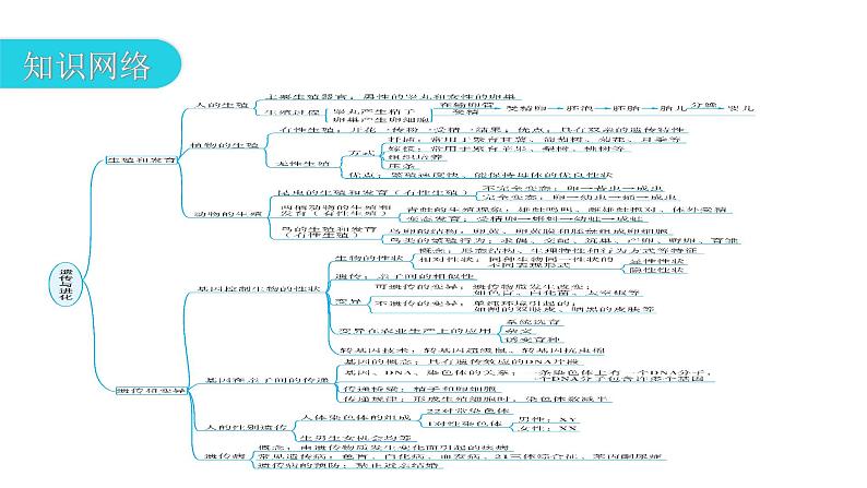 中考生物复习专题七遗传与进化教学课件第3页