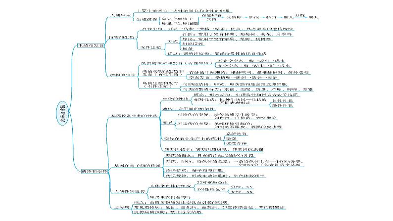 中考生物复习专题七遗传与进化教学课件第4页