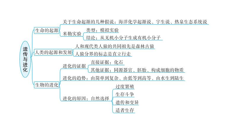 中考生物复习专题七遗传与进化教学课件第5页