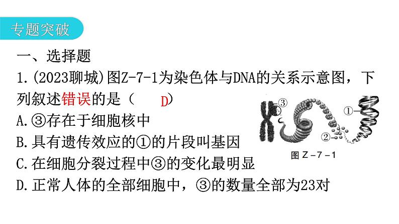 中考生物复习专题七遗传与进化教学课件第6页