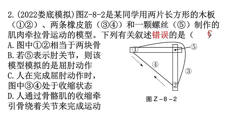 中考生物复习专题八生物学与社会跨学科实践教学课件06