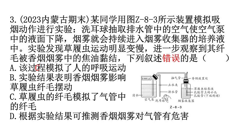 中考生物复习专题八生物学与社会跨学科实践教学课件07