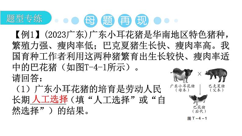 中考生物复习题型四综合应用教学课件第4页