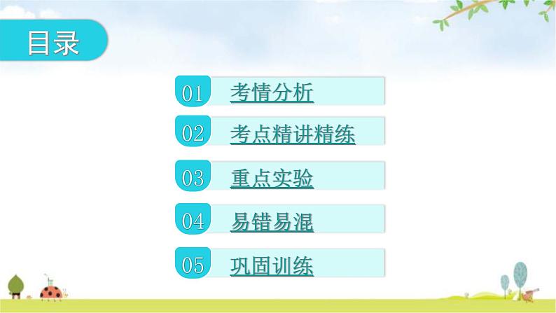 中考生物复习第一单元生物和生物圈第二章了解生物圈教学课件02