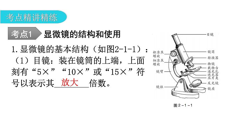 中考生物复习第二单元生物体的结构层次第一章细胞是生命活动的基本单位教学课件07