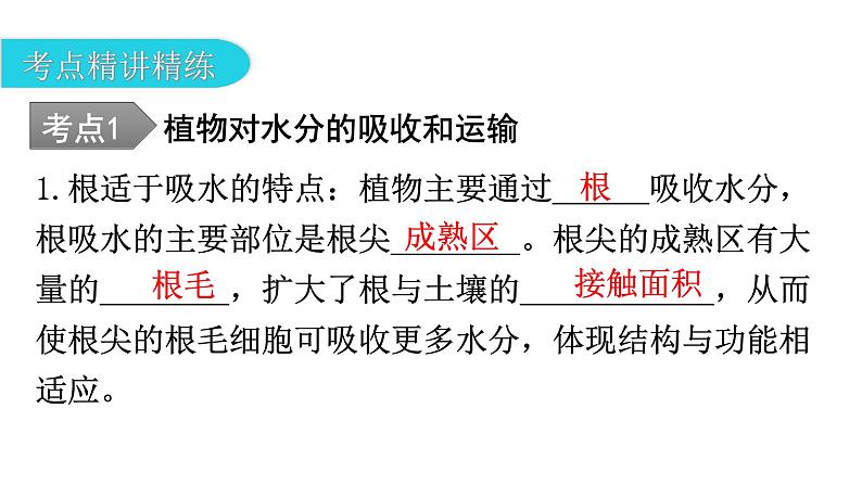 中考生物复习第三单元生物圈中的绿色植物第三章绿色植物与生物圈的水循环教学课件第8页