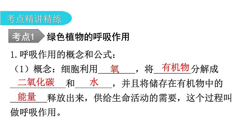 中考生物复习第三单元生物圈中的绿色植物第五章绿色植物与生物圈中的碳-氧平衡第六章爱护植被，绿化祖国教学课件07