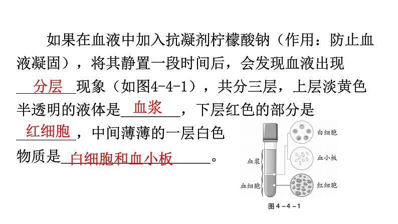 中考生物复习第四单元生物圈中的人第四章人体内物质的运输教学课件第8页