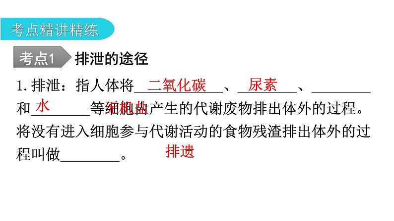 中考生物复习第四单元生物圈中的人第五章人体内废物的排出教学课件第7页