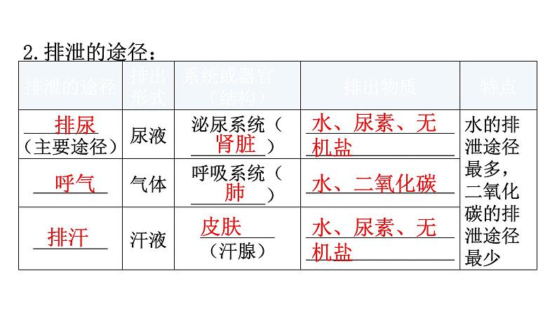 中考生物复习第四单元生物圈中的人第五章人体内废物的排出教学课件第8页