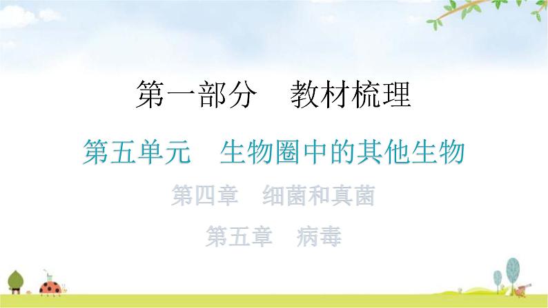 中考生物复习第五单元生物圈中的其他生物第四章细菌和真菌第五章病毒教学课件01