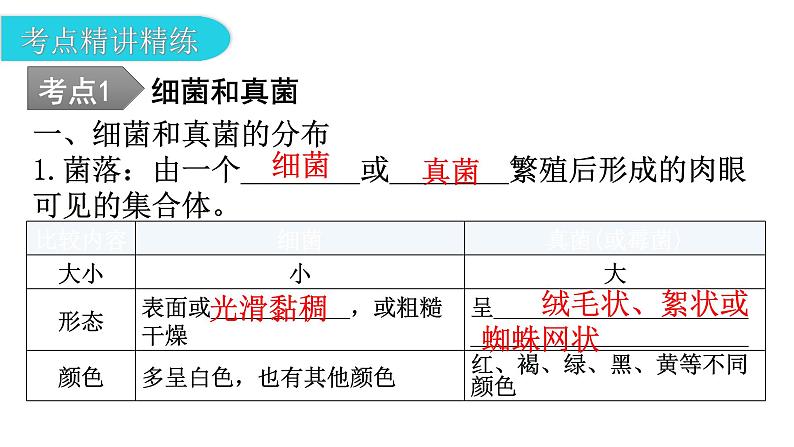 中考生物复习第五单元生物圈中的其他生物第四章细菌和真菌第五章病毒教学课件07