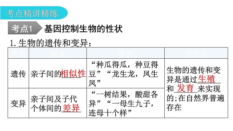 中考生物复习第七单元生物圈中生命的延续和发展第二章生物的遗传与变异教学课件第8页