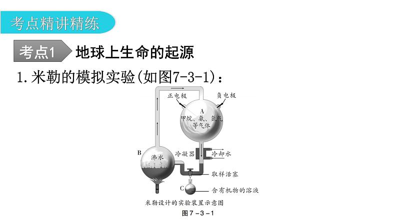 中考生物复习第七单元生物圈中生命的延续和发展第三章生命起源和生物进化教学课件07