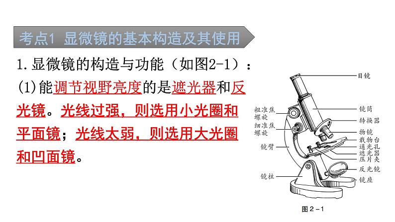 中考生物复习第二单元第一章细胞是生命活动的基本单位知识点课件第2页