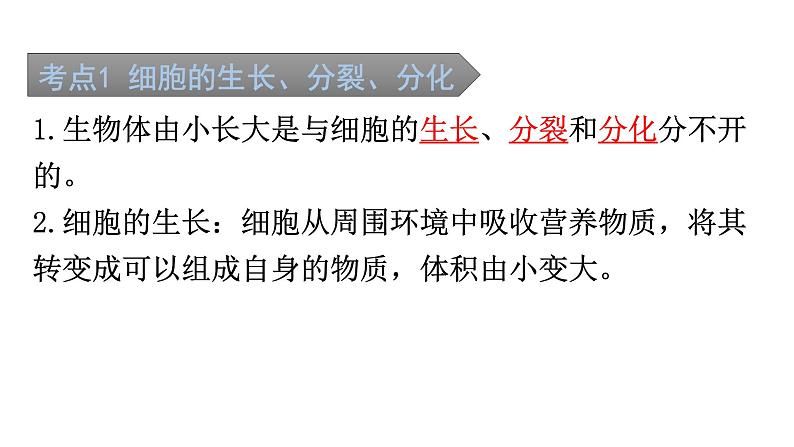 中考生物复习第二单元第二章细胞怎样构成生物体知识点课件02