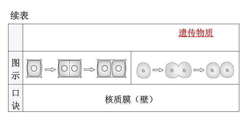 中考生物复习第二单元第二章细胞怎样构成生物体知识点课件04