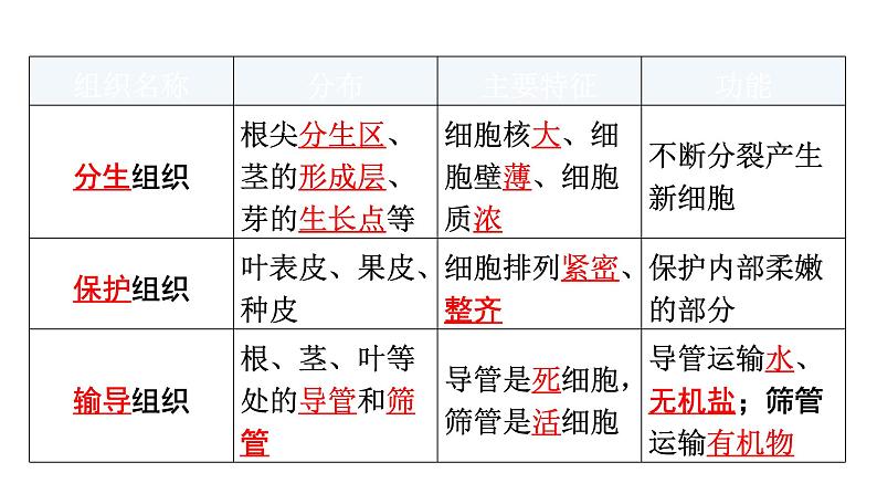 中考生物复习第二单元第二章细胞怎样构成生物体知识点课件07