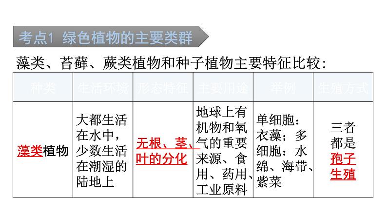 中考生物复习第三单元第一章生物圈中有哪些绿色植物知识点课件02